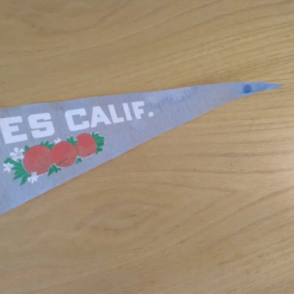 Vintage 60s Los Angeles California Pennant Flag